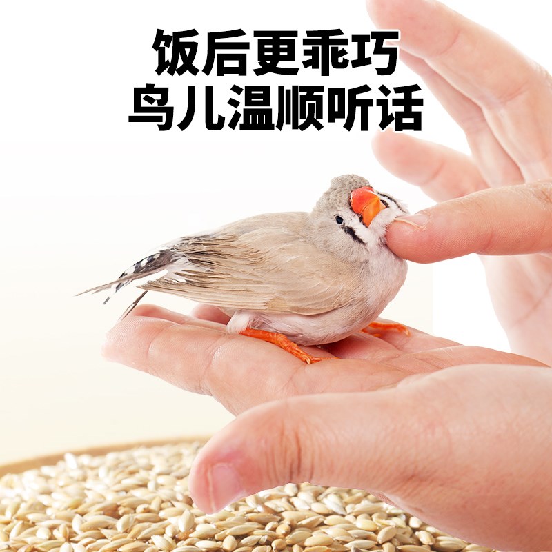 鹦鹉加纳利子鸟粮饲料鸟食虎皮玄凤牡丹小太阳珍珠鸟专用粮食零食