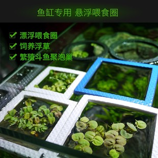 组合漂浮圈喂食漂浮饲料圈养浮萍斗鱼迷鳃鱼繁殖做泡巢包邮