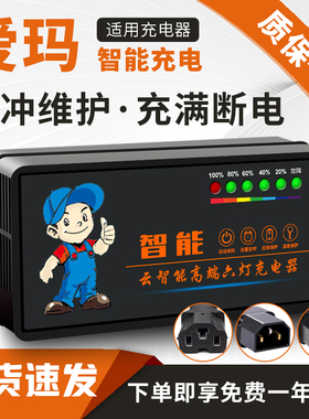 琳茵适用于爱玛电动车电瓶充电器48V60V72V20AH国标插头爱玛通用