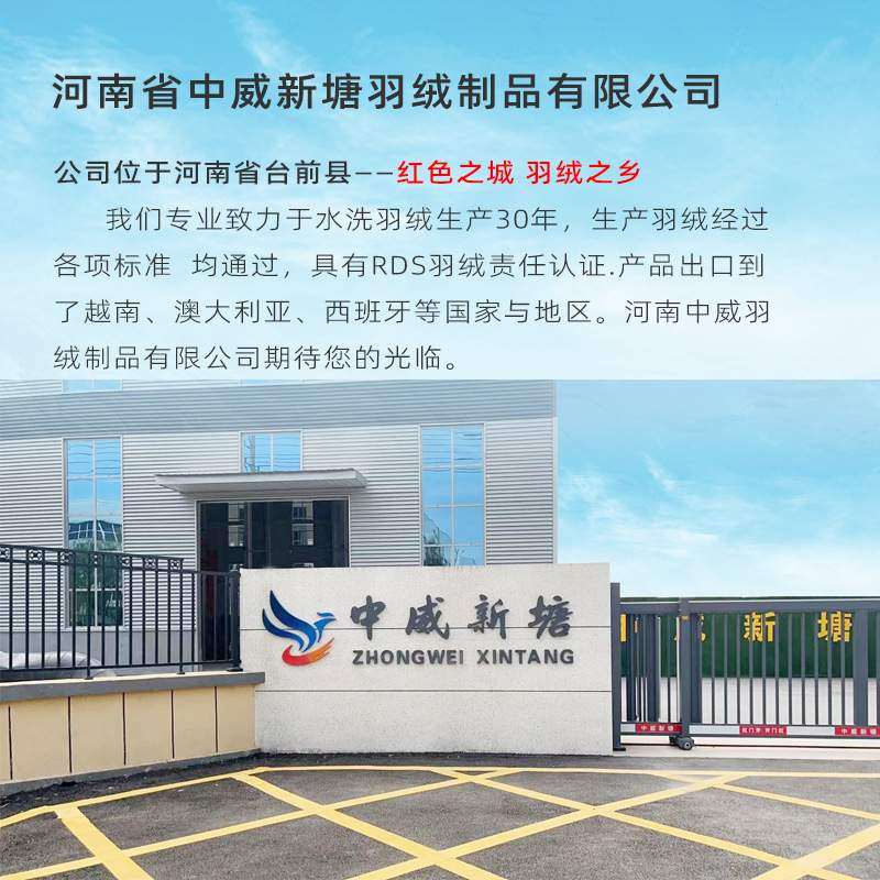 中威新塘羽绒厂家羽毛厂家2021新标白鹅绒羽绒被首先高品质白鸭绒,电子元器件市场,其它元器件,淘宝优惠券,粉丝福利购,淘宝优惠卷