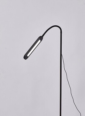 ld落地556灯调光护眼钢琴灯厅房练琴客卧室儿童书床头阅读立式台e