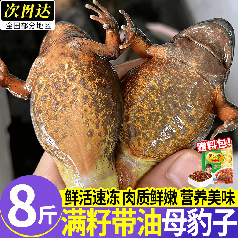 无冰东北林蛙当季新货顺丰速发