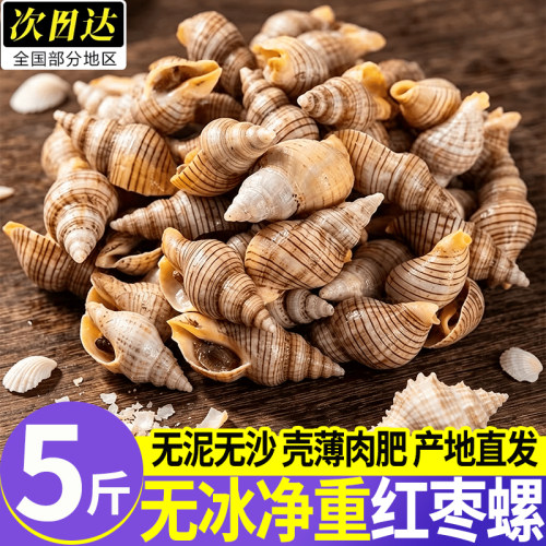 贝贝螺冷冻海螺贝类酒店商用
