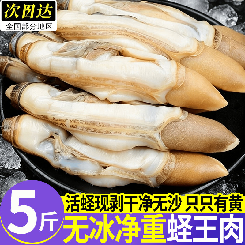 速冻去壳大个蛏王肉批发