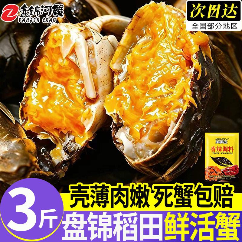 盘锦稻田活河蟹现抓现发