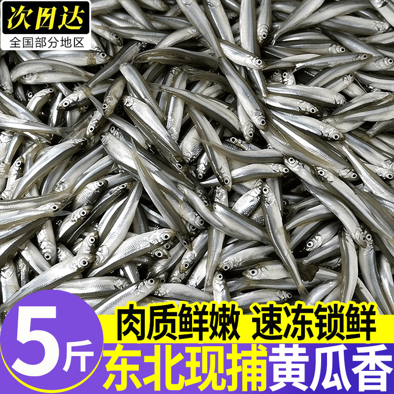 东北特产现捕速冻沼公鱼