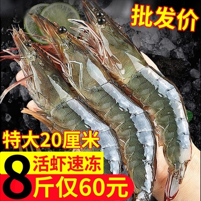 大虾鲜活冷冻特大号基围虾青岛大虾新鲜冻虾海虾白虾虾类海鲜水产