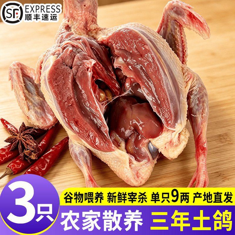 农家散养现杀新鲜乳鸽滋补炖汤