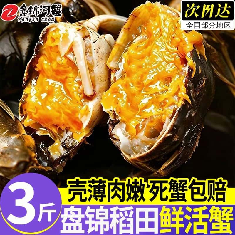 盘锦稻田活河蟹现抓现发