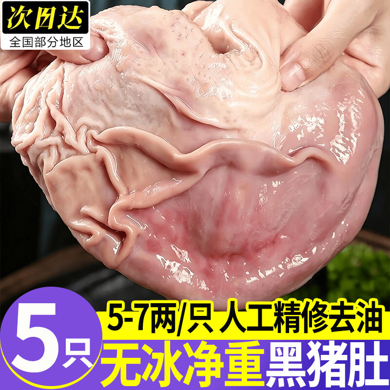 散养黑猪特厚去油免洗猪肚批发