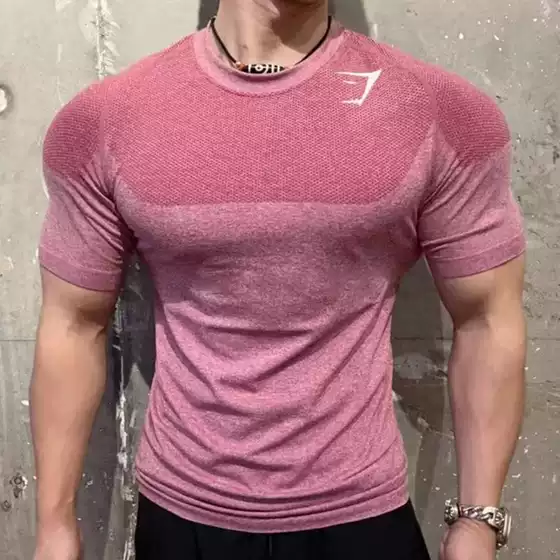 British Gymshaek Shark Phantom Fourth Generation Seamless Quick-Drying Slim-Fit Short-Sleeve T-Shirt Men's Sports Fitness Training Wear