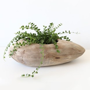 原木广口花瓶原木艺术设计感复古做旧诧寂风民宿木制花器工艺摆件