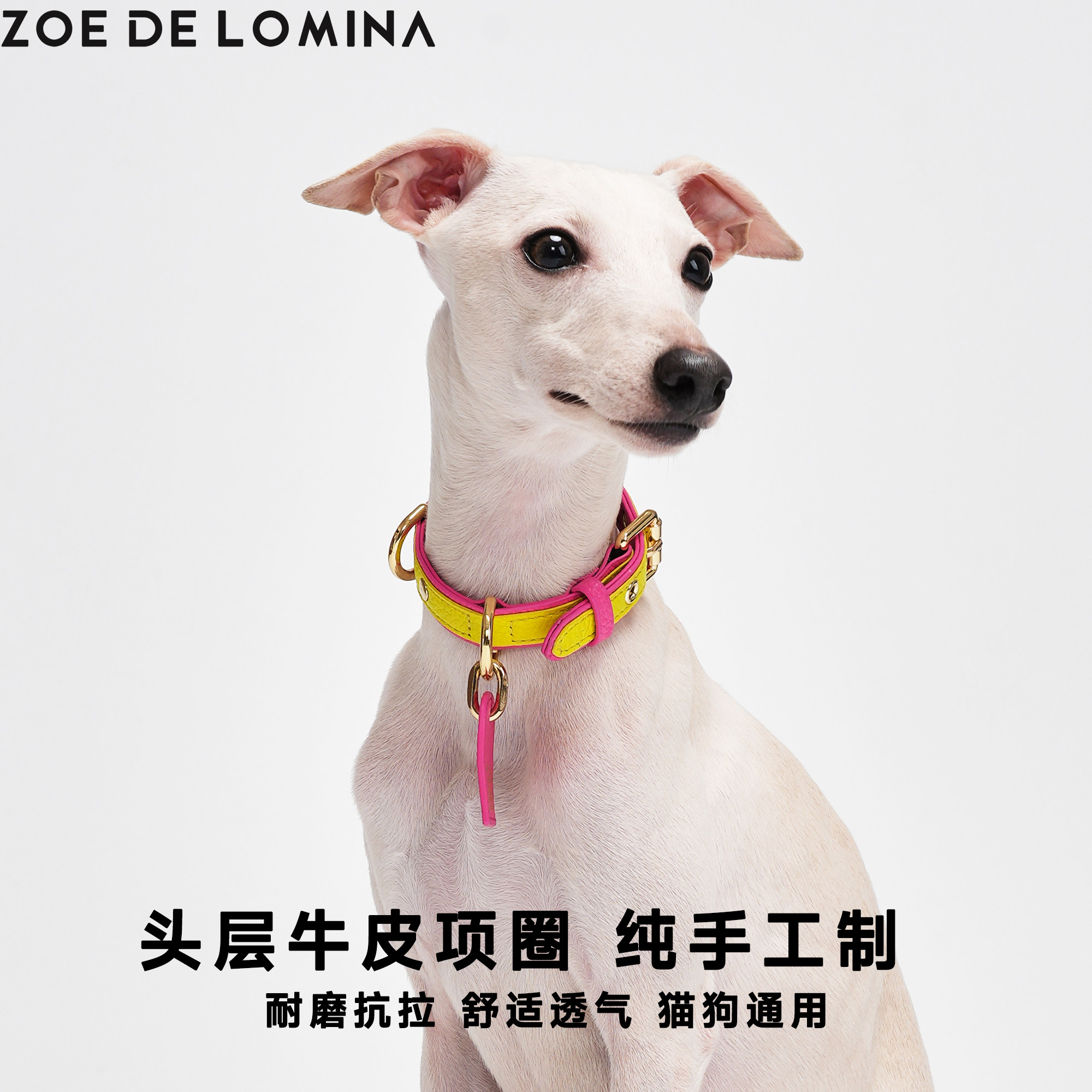 狗项圈Zoe Color Space 意大利小牛皮进口手工柔软真皮宠物牵引绳