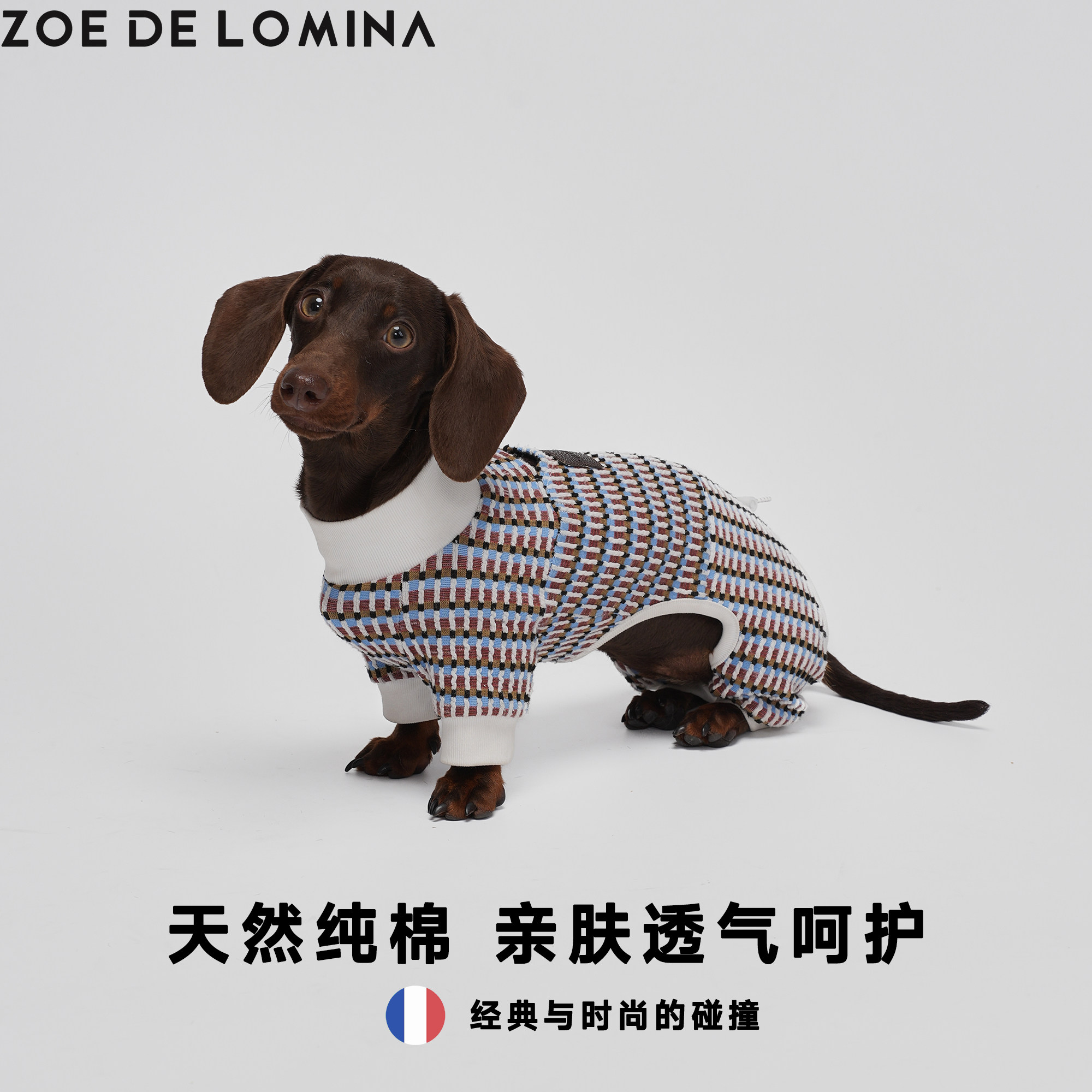 zoe宠物狗狗衣服纯棉透气打底四脚衣防尘包腿马尔济斯约克夏腊肠