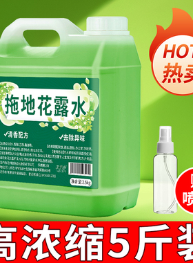 拖地花露水高浓缩大桶家用除异味持久留香地板清洁剂瓷砖宾馆宿舍