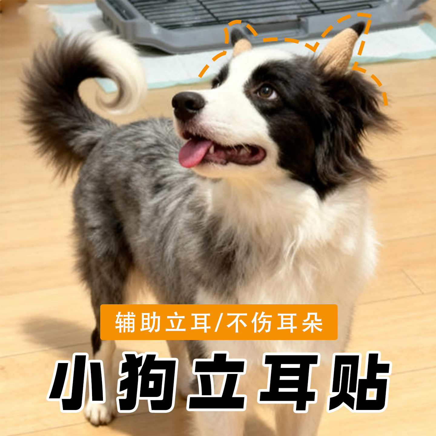 小狗立耳贴造型辅助绑耳带杜宾幼形犬类竖耳缠绕带无胶亲肤绑带透气固