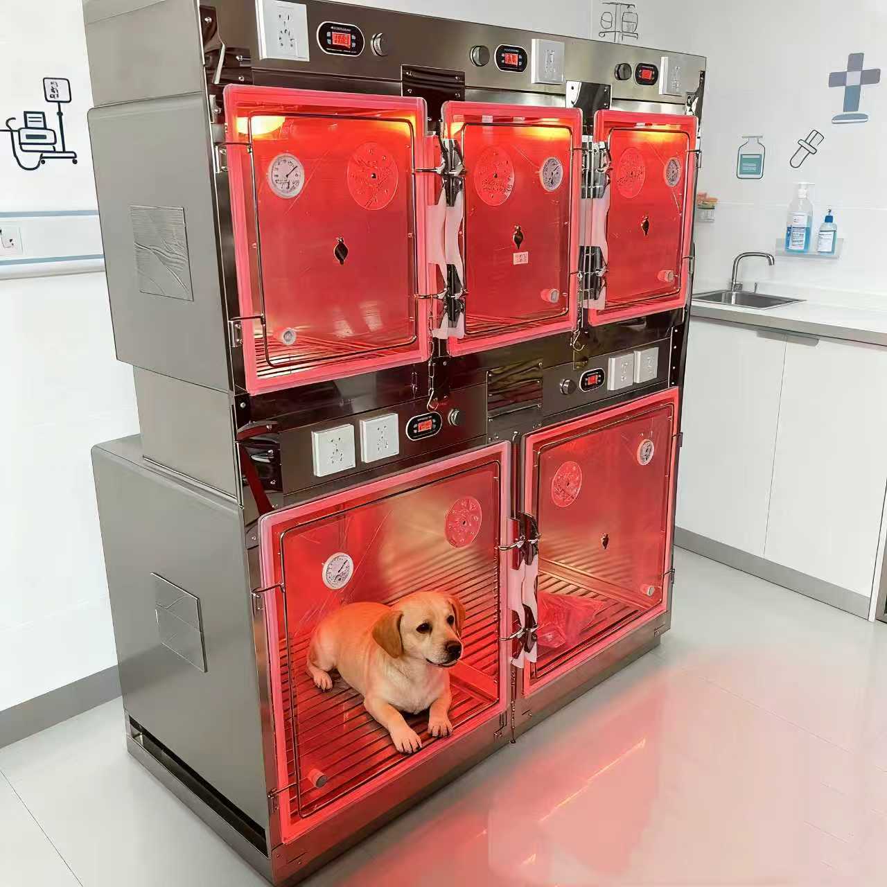 带下水道可冲洗狗笼宠物医院住院笼不锈钢恒温氧仓笼可定做各尺寸