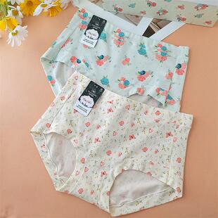 亿宠儿棉中熊猫内裤女中高腰印花100支纯棉L码1067女士有机三角裤