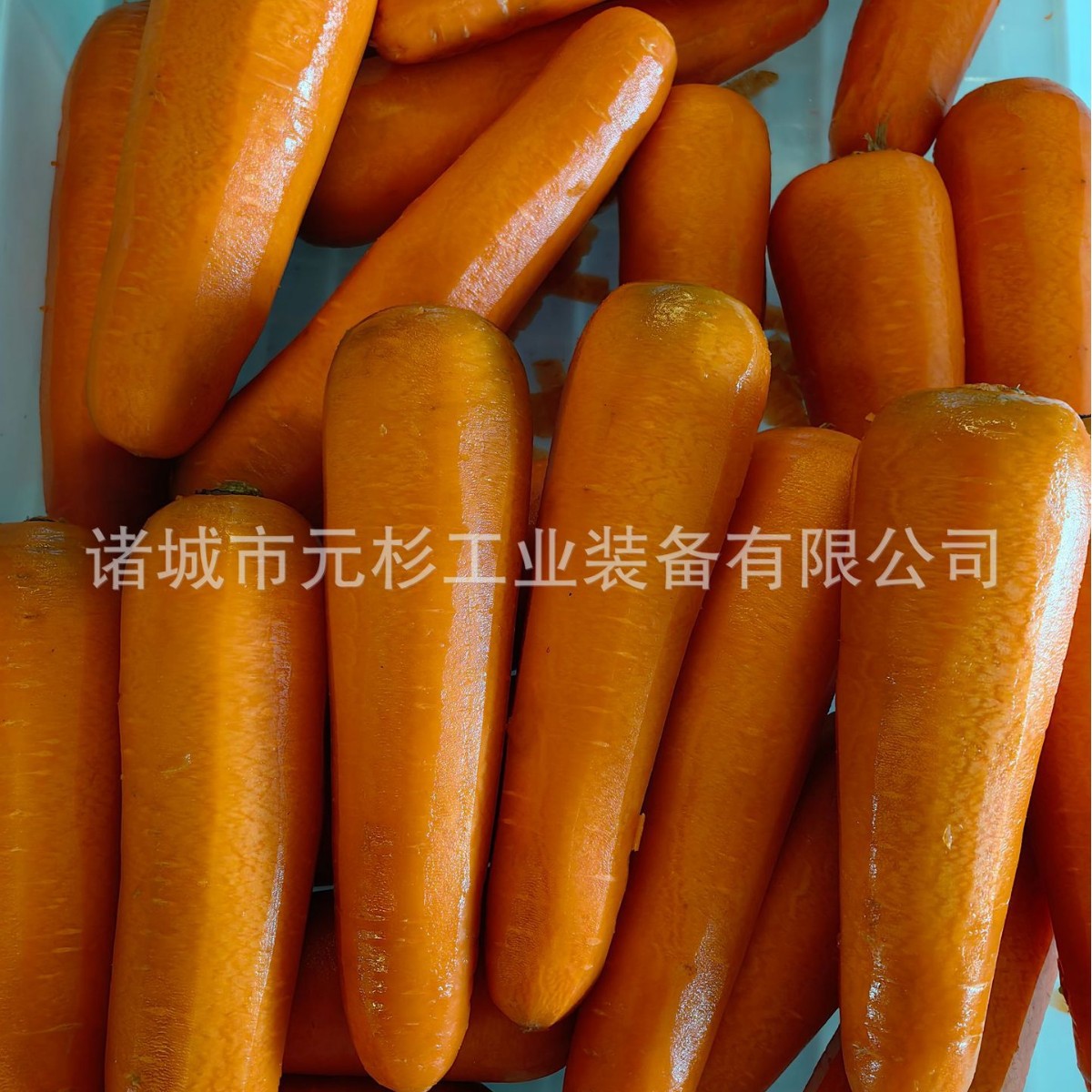 大产量胡萝卜削皮机 商用黄瓜削皮机 电动果蔬削皮机器