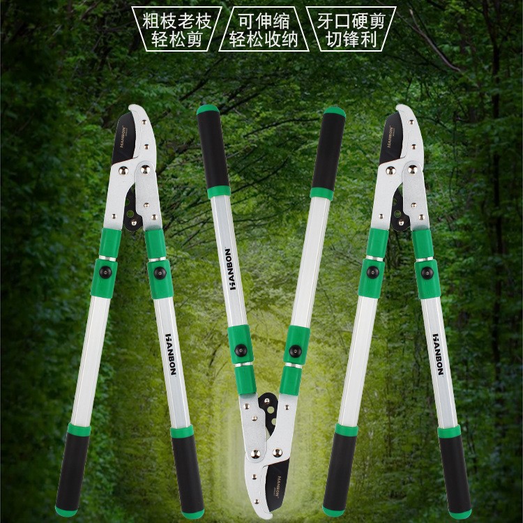修枝剪刀果树粗枝剪高枝锯园艺大剪刀园林大力剪树枝加长伸缩剪刀