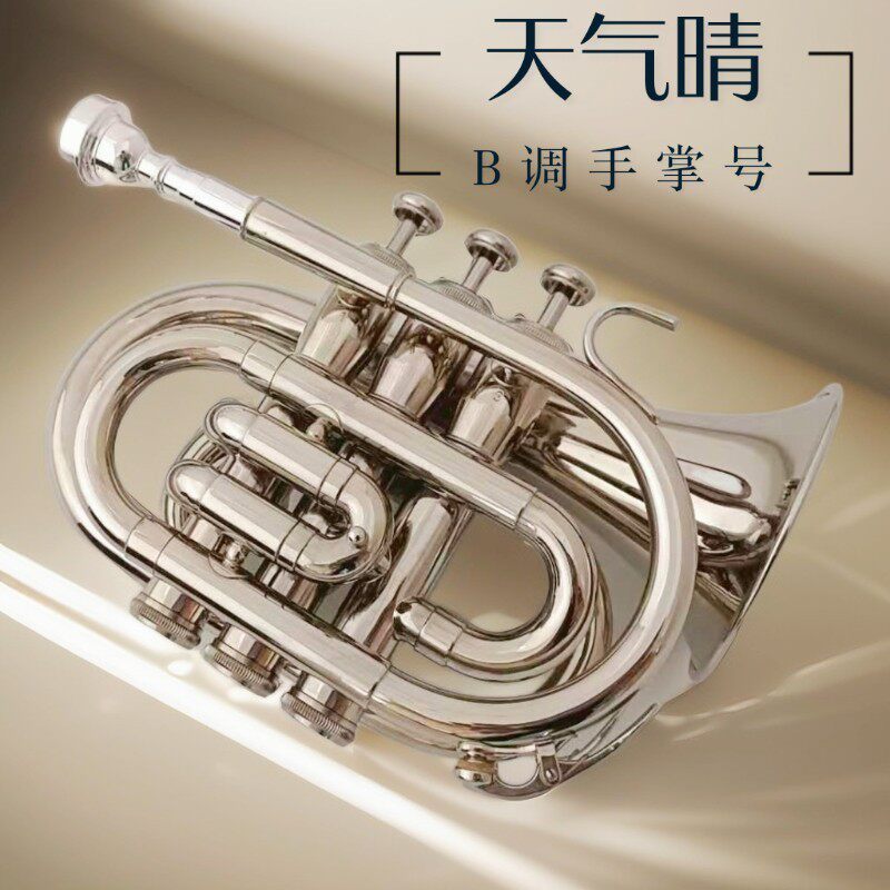 哈麦伦袖珍小号乐器 专业手掌号降B调镍银合金专业演奏学生初学
