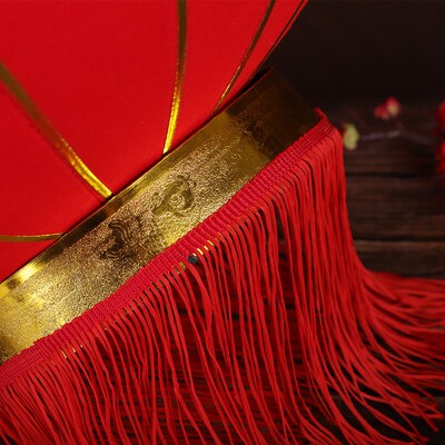 欢度佳节大红灯笼灯吊灯中国风新年春节元旦大门大号户外灯笼挂饰