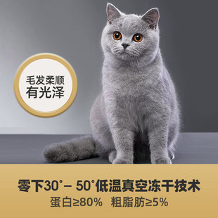 豆丁骑士冻干鸡肉粒500g猫咪零食营养增肥发腮宠物鸡胸肉干成幼猫