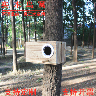 实木鸟窝鹦鹉繁殖箱保温孵化环保巢四季可定制宠物站杆户外室内笼