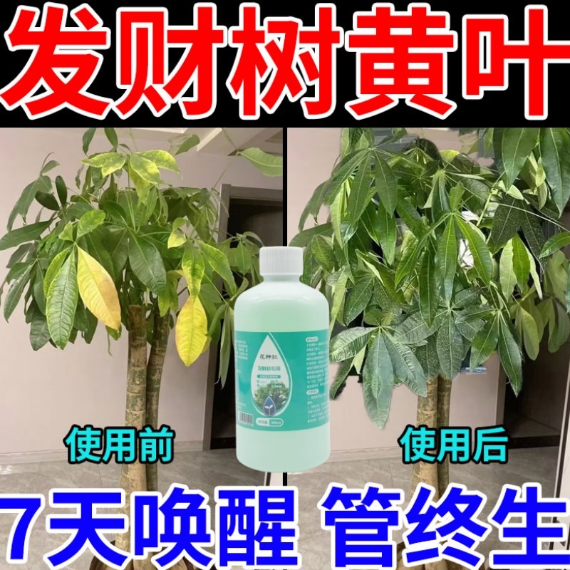 发财树营养液【免稀释】无发黄掉叶防沤根烂根促生根家用植物肥料