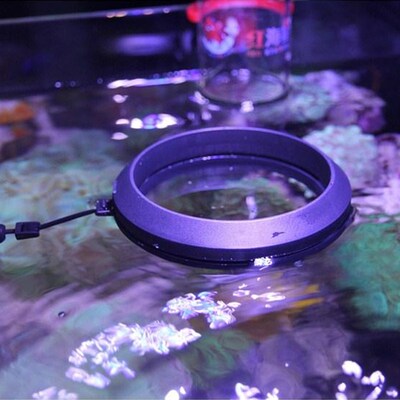 两只小鱼强磁力鱼缸水族喂食圈袋藻环海藻夹固定投食圈非自动玻璃