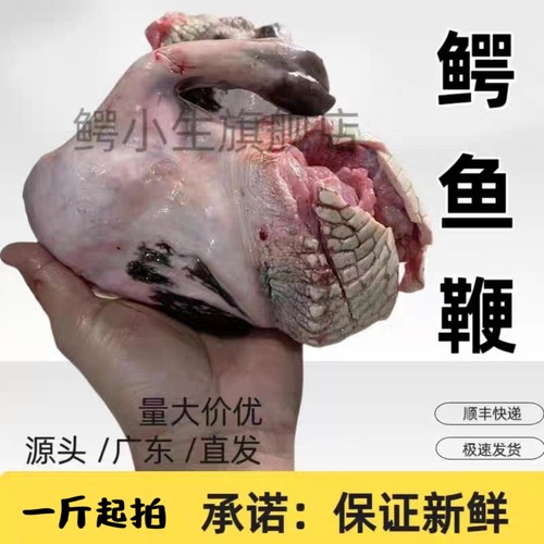 鳄鱼鞭 猛男必备