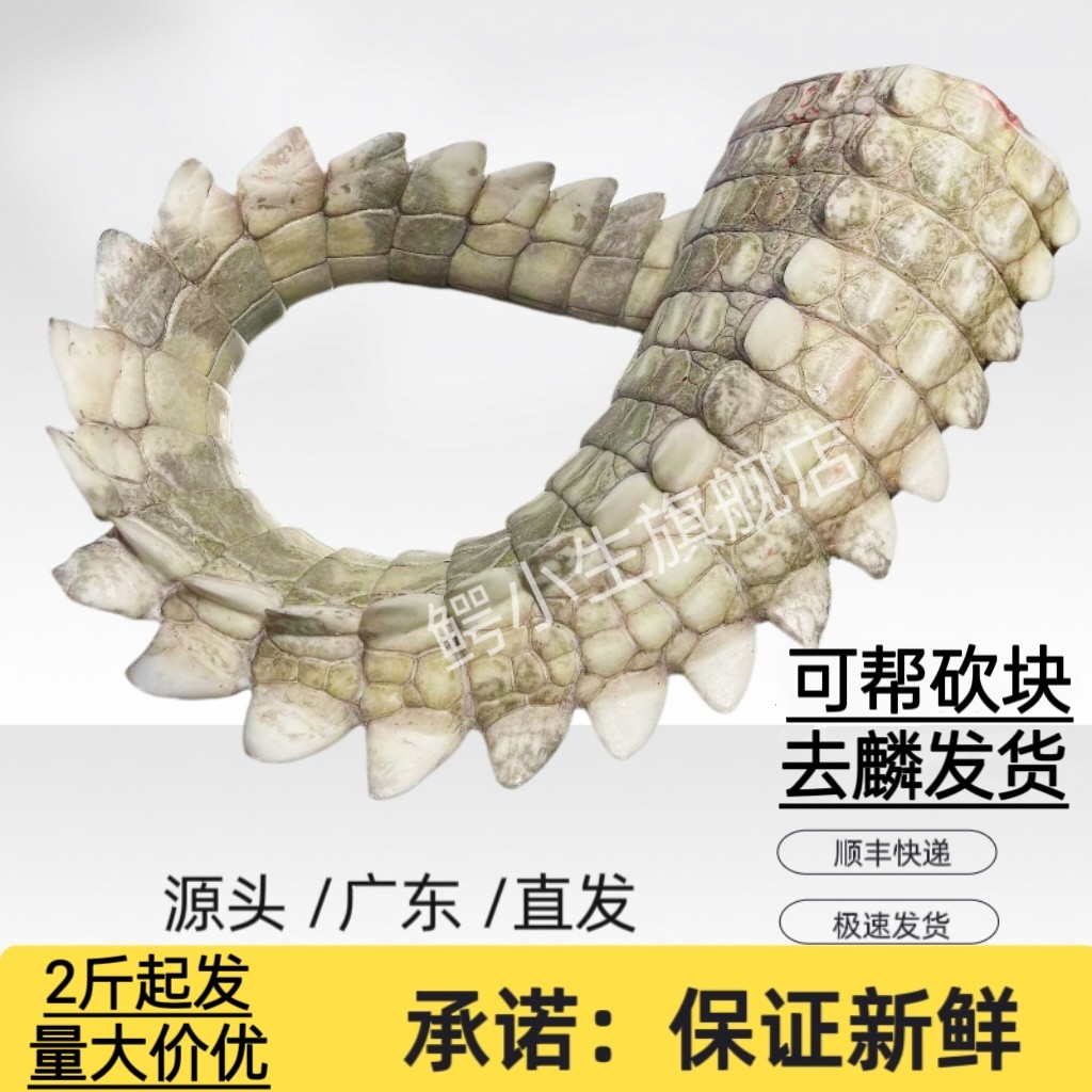新鲜鳄鱼肉鲜尾巴肉2-10斤整根现杀尾巴肉 整条鳄鱼尾巴肉