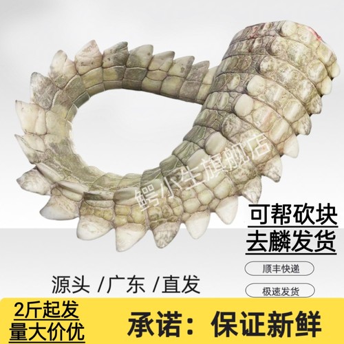 新鲜鳄鱼肉鲜尾巴肉2-10斤整根现杀尾巴肉 整条鳄鱼尾巴肉