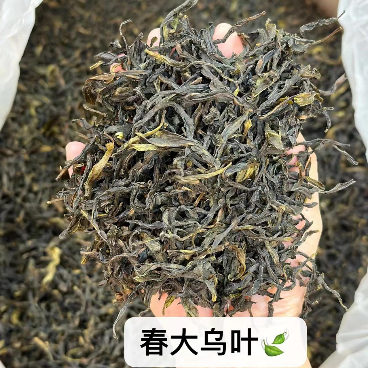 潮州凤凰单丛特级茶高档清香春茶大乌叶乌岽单枞袋装茶叶