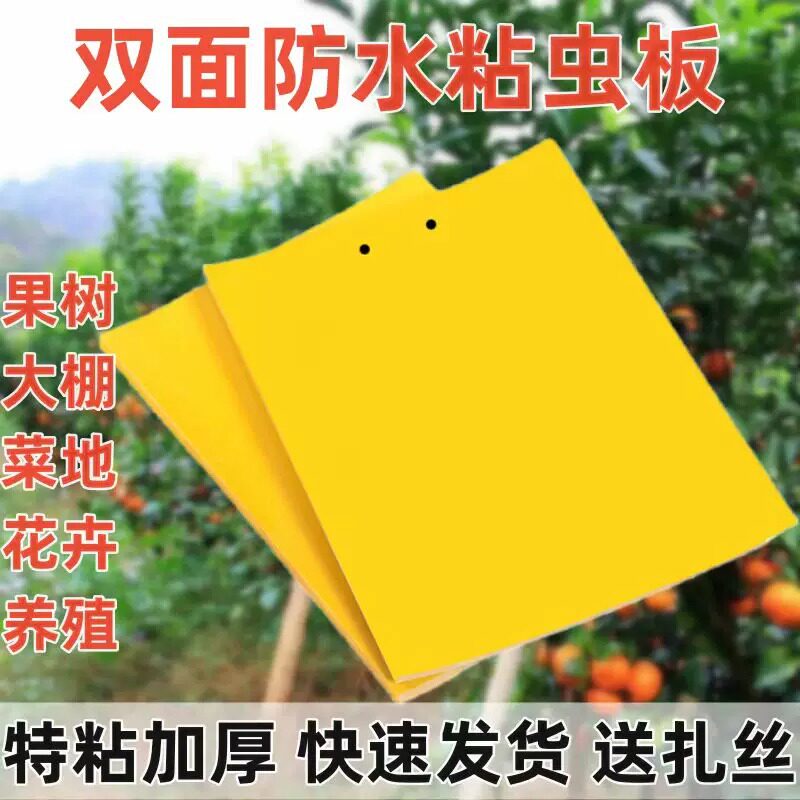 黄板双面粘虫板诱捕果园大棚用