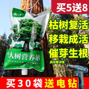 树木营养液吊针液通用型大树输液激活液袋果树移栽生根剂送针管