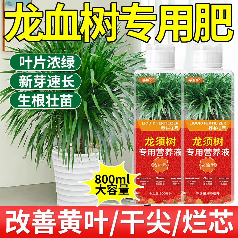 盛柏亿龙血树营养液支持试用