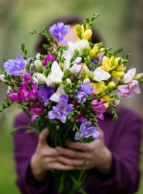 香雪兰种球大球小苍兰种子多年生浓香花卉室内外阳台盆栽耐寒芳香