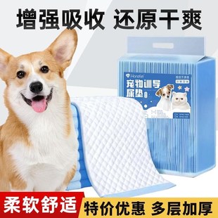 狗狗尿垫加厚除臭q吸水宠物隔尿垫诱导因子猫咪尿片