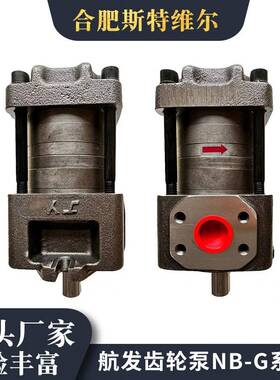 上海齿轮泵NBZ2-G10F12F16FSAEMPJY