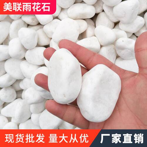雪花白 白色鹅卵石 园林铺路机制 鱼缸造景园艺多肉盆栽雨花石头