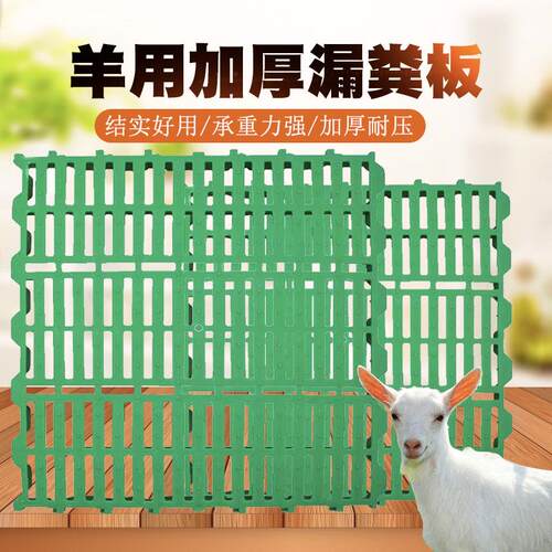 漏粪板羊用塑料羊床板羊舍漏粪板羊圈接粪板羊场养羊棚养殖场设备