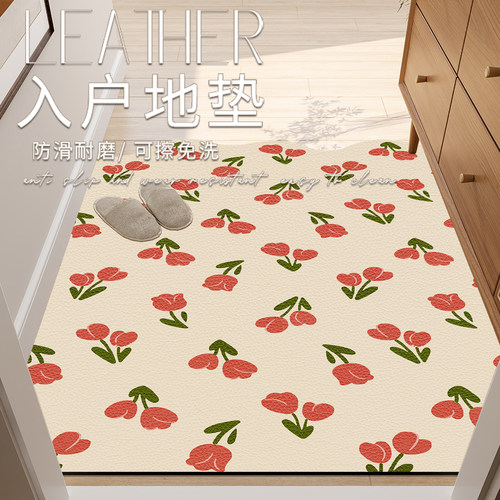 小清新入户门地垫PVC可擦免洗