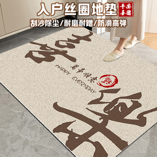 高级感入户门地垫玄关2024新款 进门门垫门外丝圈脚垫室外入户地毯