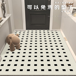 入户地垫门口地垫进门玄关脚垫PVC格子地毯家用可擦免洗定制垫子