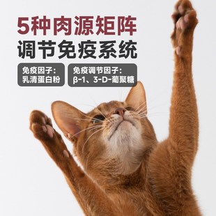 异兽低温全效烘焙猫粮全价营养成幼猫5种陆水空肉源调节免疫力