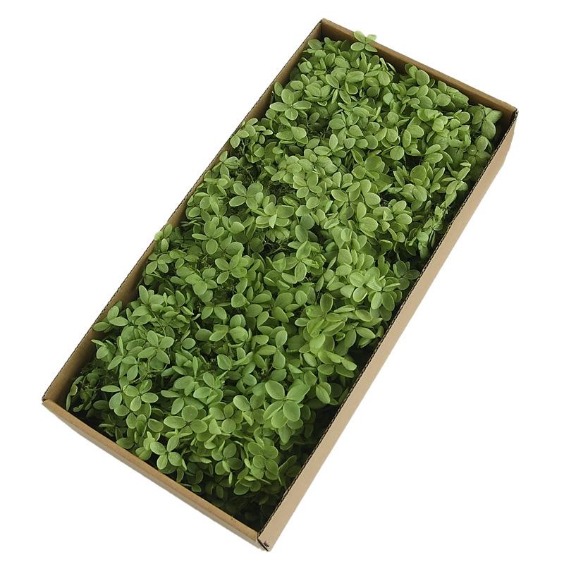 木绣球永生花中叶永生玫瑰礼盒玻璃罩花材保鲜花婚庆装饰新娘头饰图片