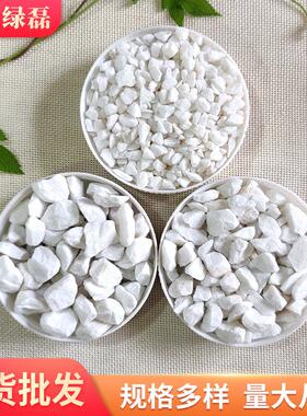 白色鹅卵石雪花白 多肉盆栽铺面机制白石子 鱼缸造景水池垫底石头