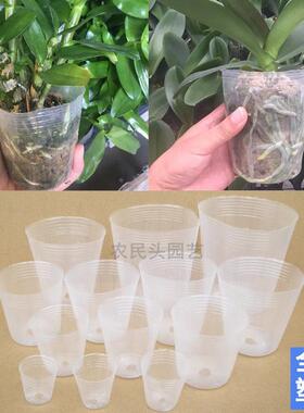 透明育苗杯蝴蝶兰多肉兰花透明盆营养袋育苗杯营养钵塑料花盆