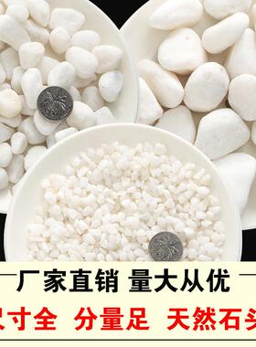 小白石子白色鹅卵石 日式园林枯山水砾石 庭院造景雪花白砂白沙